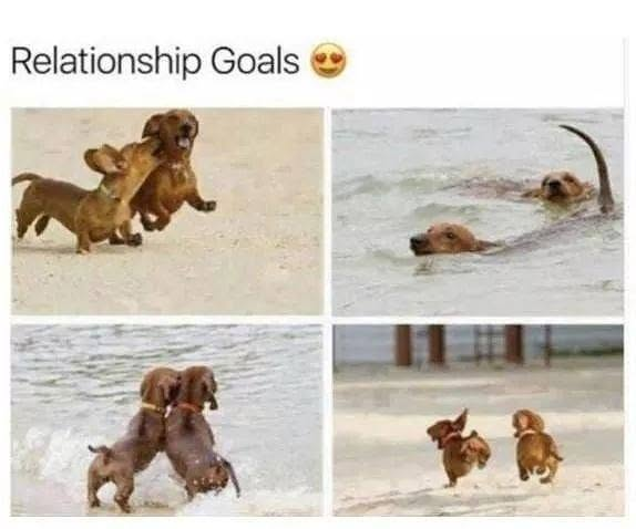 Relationship Goals