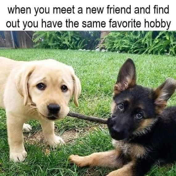 when you meet a new friend and find out you have the same favorite hobby