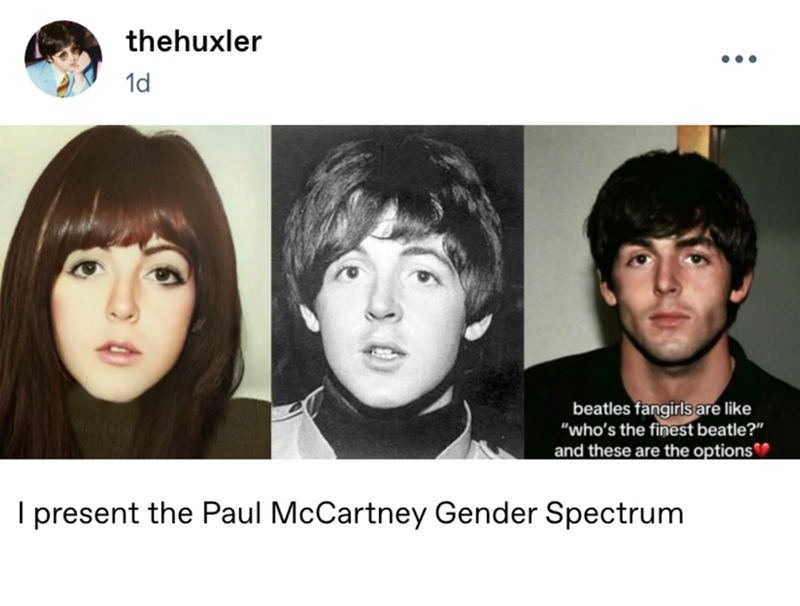 thehuxler 1d beatles fangirls are like "who's the finest beatle?" and these are the options I present the Paul McCartney Gender Spectrum