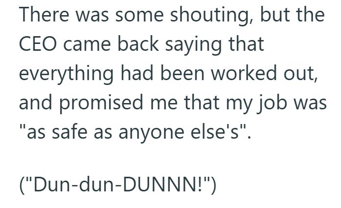 There was some shouting, but the CEO came back saying that everything had been worked out, and promised me that my job was "as safe as anyone else's". ("Dun-dun-DUNNN!")