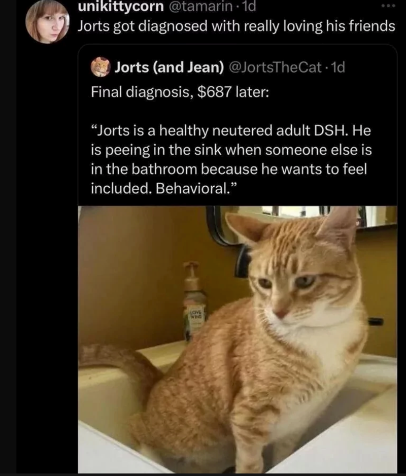 unikittycorn @tamarin 1d Jorts got diagnosed with really loving his friends Jorts (and Jean) @JortsTheCat -1d Final diagnosis, $687 later: "Jorts is a healthy neutered adult DSH. He is peeing in the sink when someone else is in the bathroom because he wants to feel included. Behavioral." LOVE wend