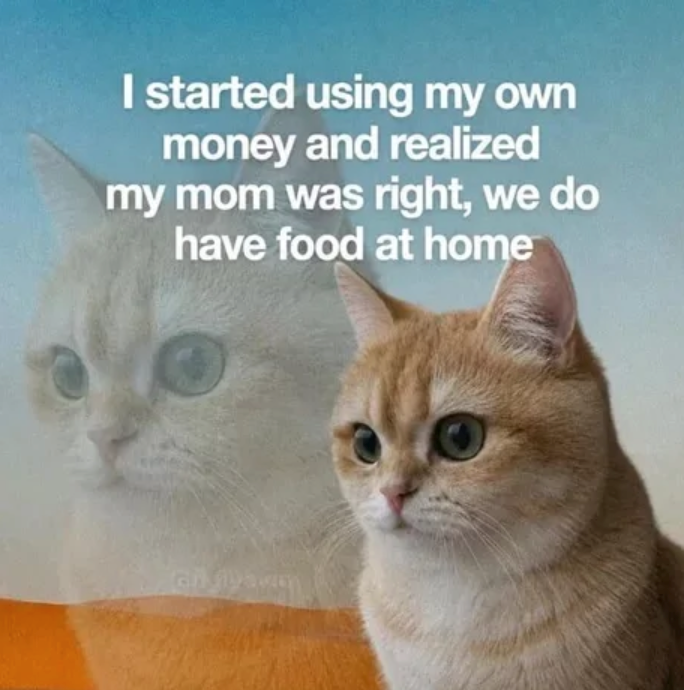 I started using my own money and realized my mom was right, we do have food at home