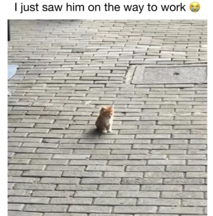 I just saw him on the way to work