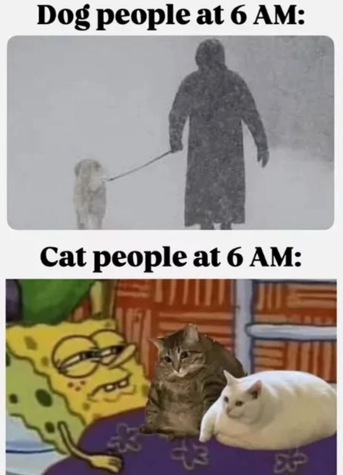 + Dog people at 6 AM: Cat people at 6 AM: B