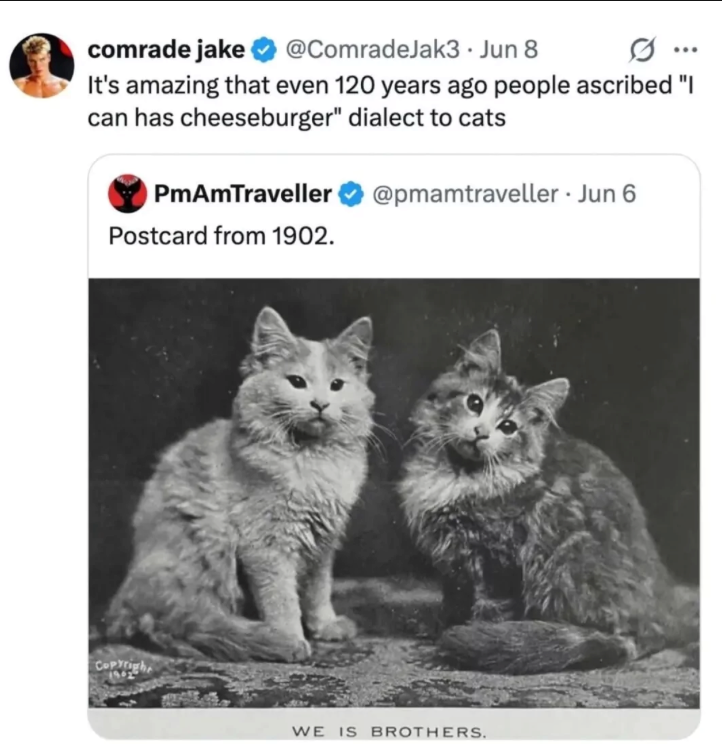 comrade jake @ComradeJak3. Jun 8 ... It's amazing that even 120 years ago people ascribed "I can has cheeseburger" dialect to cats PmAmTraveller Postcard from 1902. @pmamtraveller - Jun 6 Copyright WE IS BROTHERS.