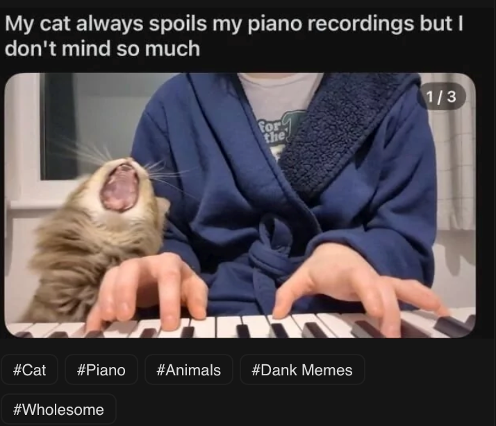 My cat always spoils my piano recordings but I don't mind so much 1/3 for the #Cat #Piano #Animals #Dank Memes #Wholesome