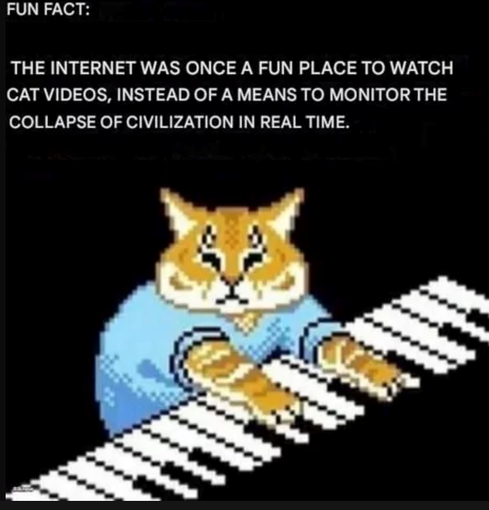 FUN FACT: THE INTERNET WAS ONCE A FUN PLACE TO WATCH CAT VIDEOS, INSTEAD OF A MEANS TO MONITOR THE COLLAPSE OF CIVILIZATION IN REAL TIME.