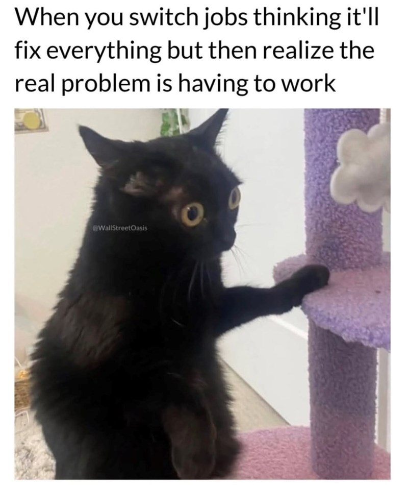 When you switch jobs thinking it'll fix everything but then realize the real problem is having to work @WallStreetOasis O