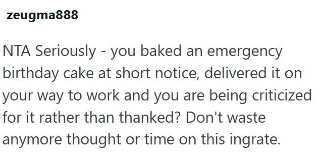 zeugma888 NTA Seriously - you baked an emergency birthday cake at short notice, delivered it on your way to work and you are being criticized for it rather than thanked? Don't waste anymore thought or time on this ingrate.