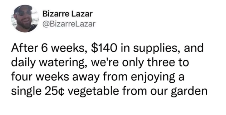 Bizarre Lazar @BizarreLazar After 6 weeks, $140 in supplies, and daily watering, we're only three to four weeks away from enjoying a single 25¢ vegetable from our garden