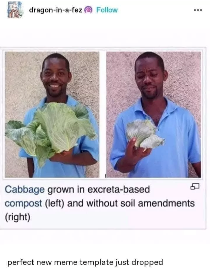 dragon-in-a-fez Follow Cabbage grown in excreta-based compost (left) and without soil amendments (right) perfect new meme template just dropped