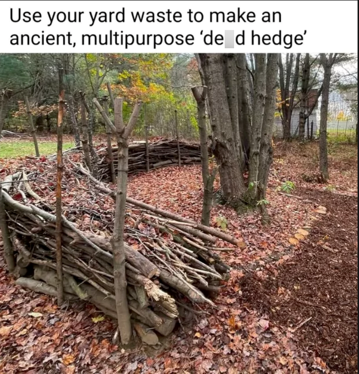Use your yard waste to make an ancient, multipurpose 'de d hedge'