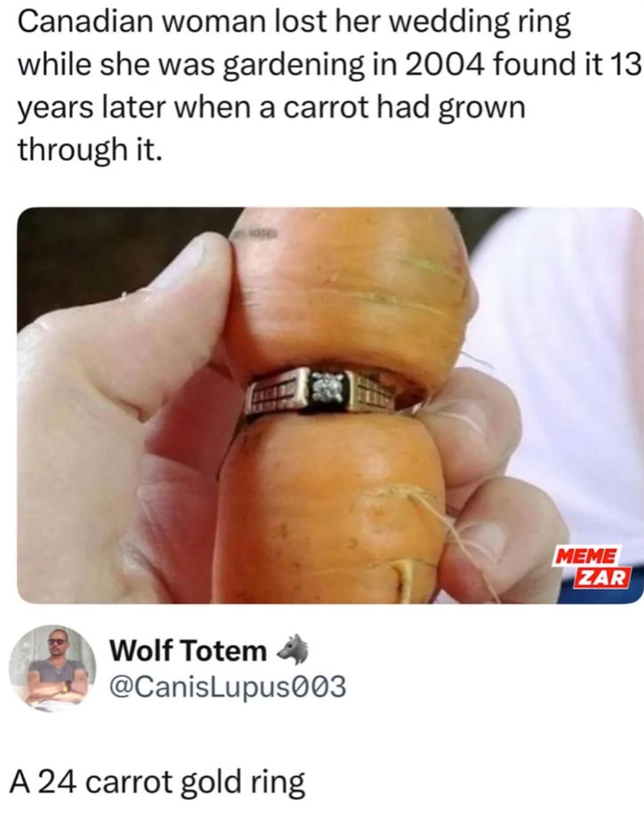 Canadian woman lost her wedding ring while she was gardening in 2004 found it 13 years later when a carrot had grown through it. Wolf Totem @CanisLupus003 A 24 carrot gold ring MEME ZAR