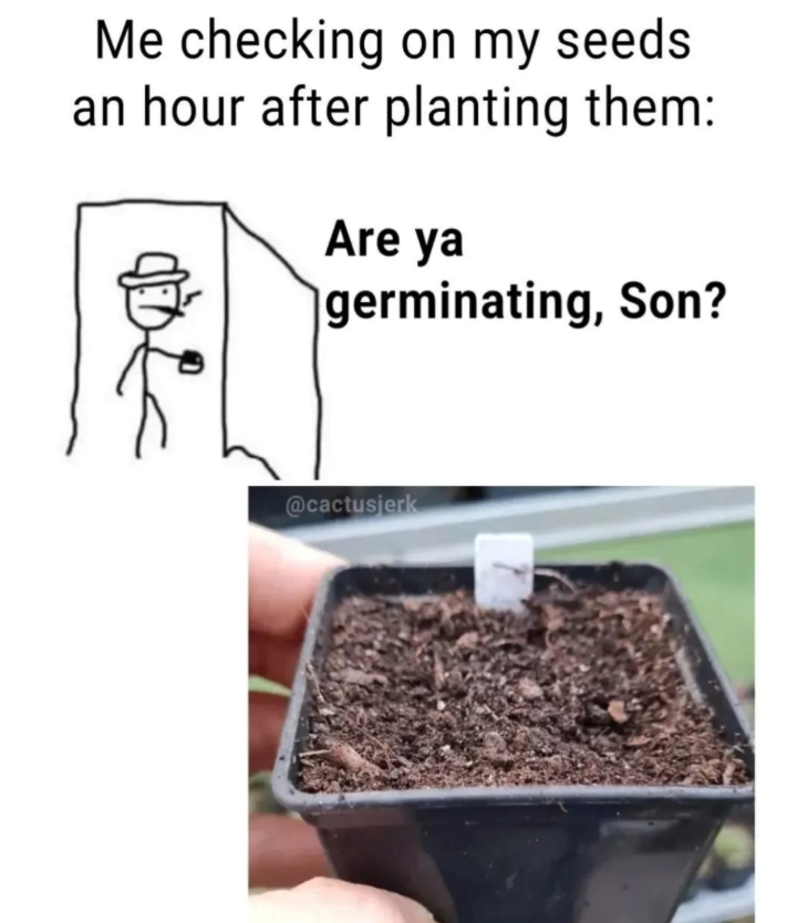 Me checking on my seeds. an hour after planting them: Are ya germinating, Son? @cactusjerk