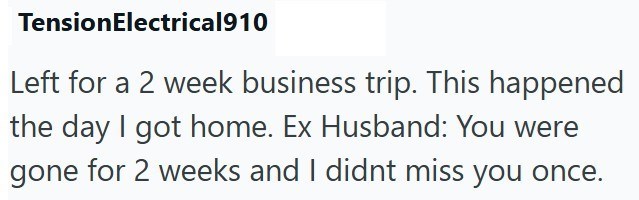 TensionElectrical910 Left for a 2 week business trip. This happened the day I got home. Ex Husband: You were gone for 2 weeks and I didnt miss you once.