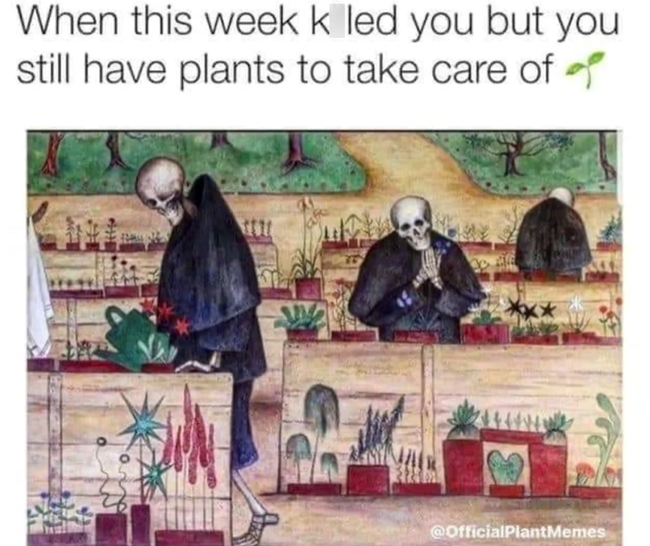When this week k led you but you still have plants to take care of @OfficialPlantMemes