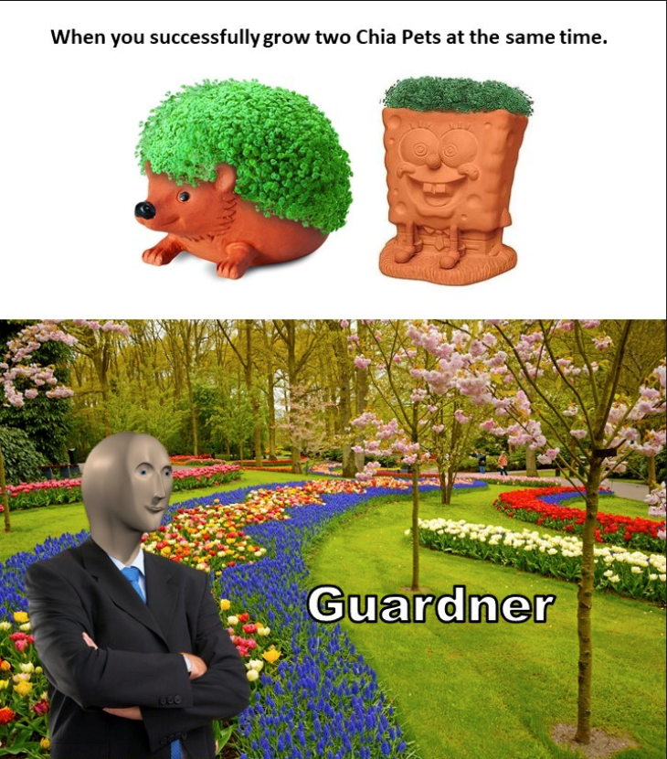When you successfully grow two Chia Pets at the same time. 1660 Guardner