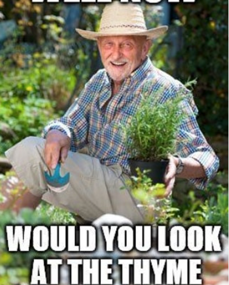 WOULD YOU LOOK AT THE THYME