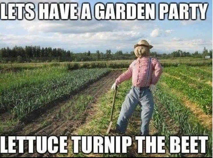 LETS HAVE A GARDEN PARTY LETTUCE TURNIP THE BEET