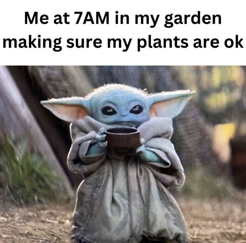 Me at 7AM in my garden making sure my plants are ok