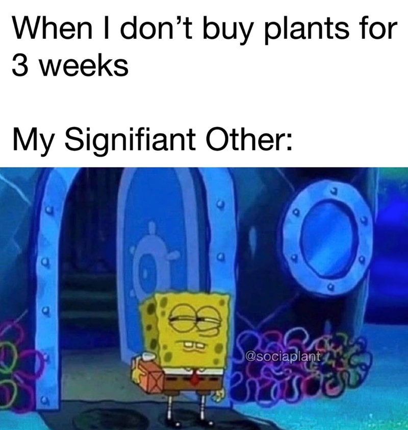 When I don't buy plants for 3 weeks My Signifiant Other: @sociaplant