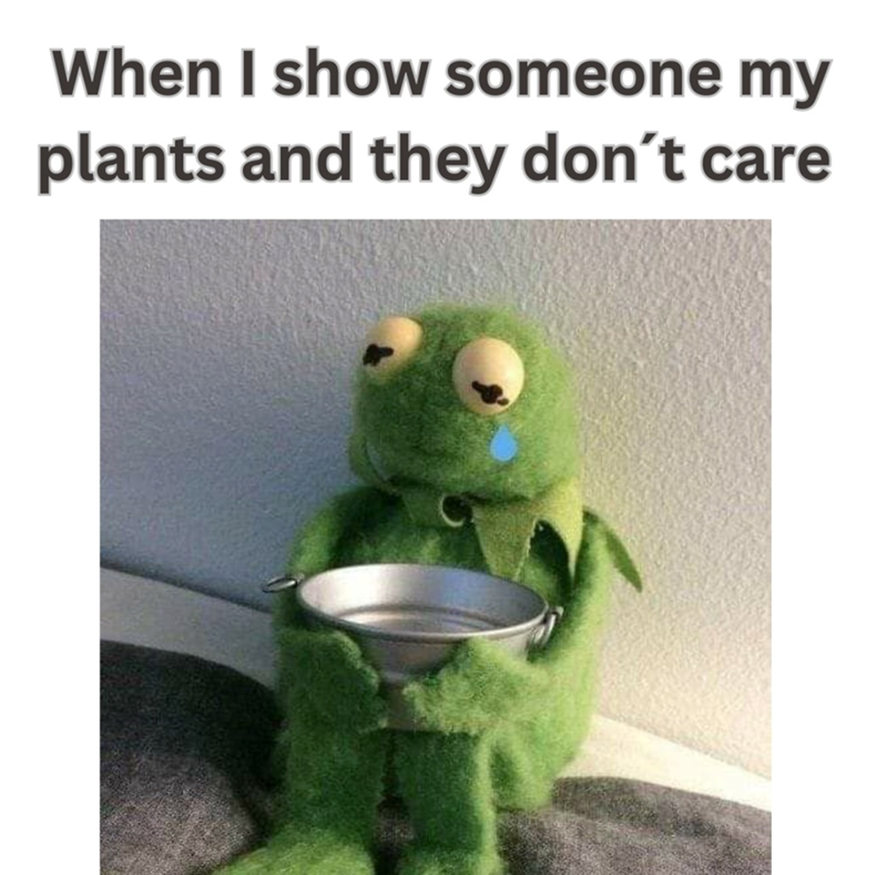 When I show someone my plants and they don't care