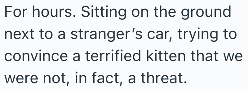 For hours. Sitting on the ground next to a stranger's car, trying to convince a terrified kitten that we were not, in fact, a threat.
