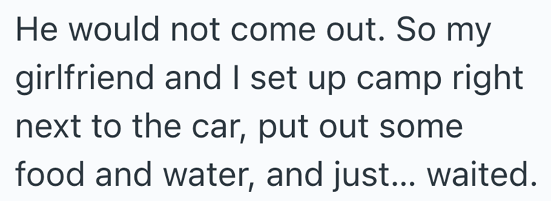 He would not come out. So my girlfriend and I set up camp right next to the car, put out some food and water, and just... waited.