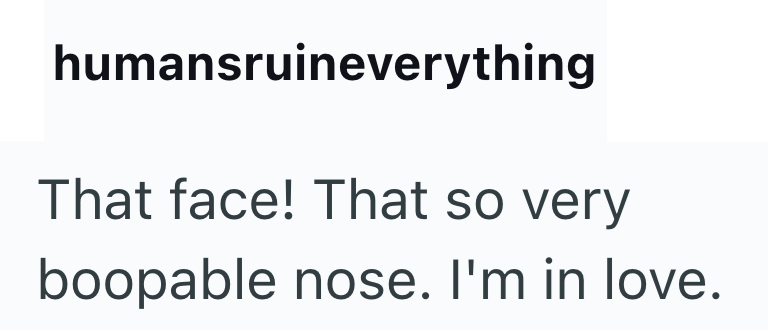humansruineverything That face! That so very boopable nose. I'm in love.