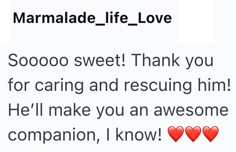 Marmalade_life_Love Sooooo sweet! Thank you for caring and rescuing him! He'll make you an awesome companion, I know!