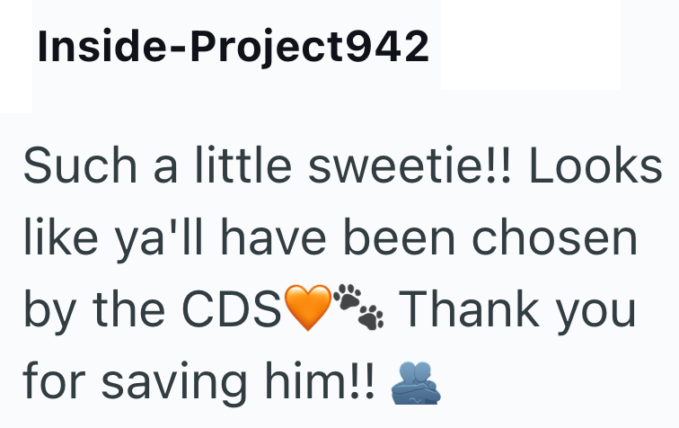 Inside-Project942 Such a little sweetie!! Looks like ya'll have been chosen by the CDS Thank you for saving him!!