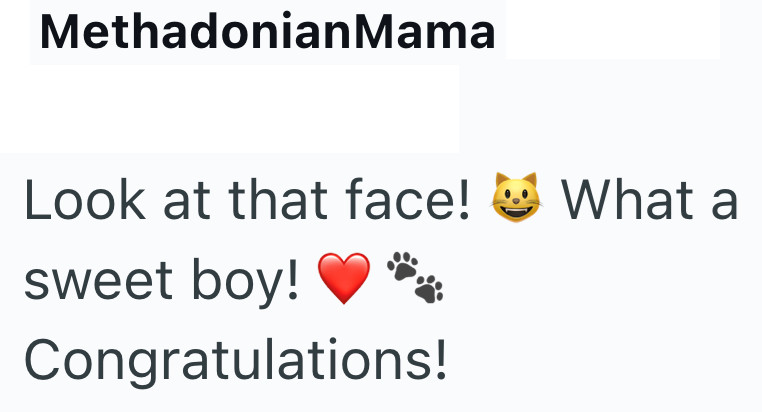 MethadonianMama Look at that face! What a sweet boy! Congratulations!