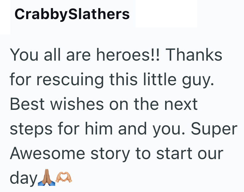 CrabbySlathers You all are heroes!! Thanks for rescuing this little guy. Best wishes on the next steps for him and you. Super Awesome story to start our day▲m