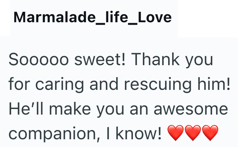 Marmalade_life_Love Sooooo sweet! Thank you for caring and rescuing him! He'll make you an awesome companion, I know!