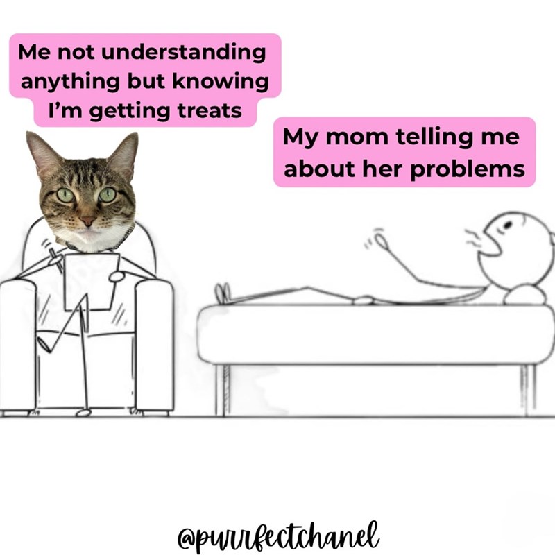 Me not understanding anything but knowing I'm getting treats My mom telling me about her problems @purrfectchanel