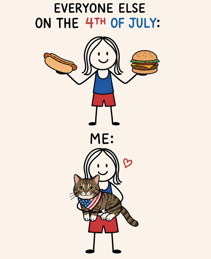 EVERYONE ELSE ON THE 4TH OF JULY: ME: