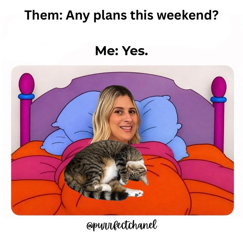 Them: Any plans this weekend? Me: Yes. @purrfectchanel