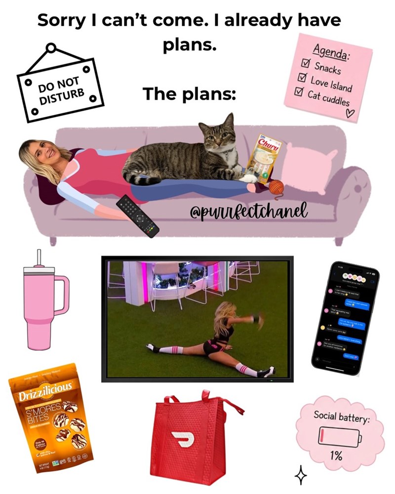 Sorry I can't come. I already have DO NOT DISTURB plans. The plans: Agenda: ✓ Snacks ☑Love Island ✓ Cat cuddles ♡ Drizzilicious S'MORES BITES Only 10 4 292 Churu @purrfectchanel Ր 1 00000 Social battery: 1%