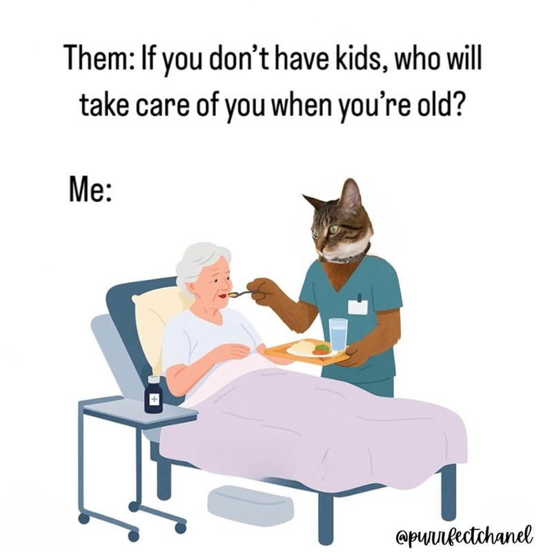Them: If you don't have kids, who will take care of you when you're old? Me: @purrfectchanel
