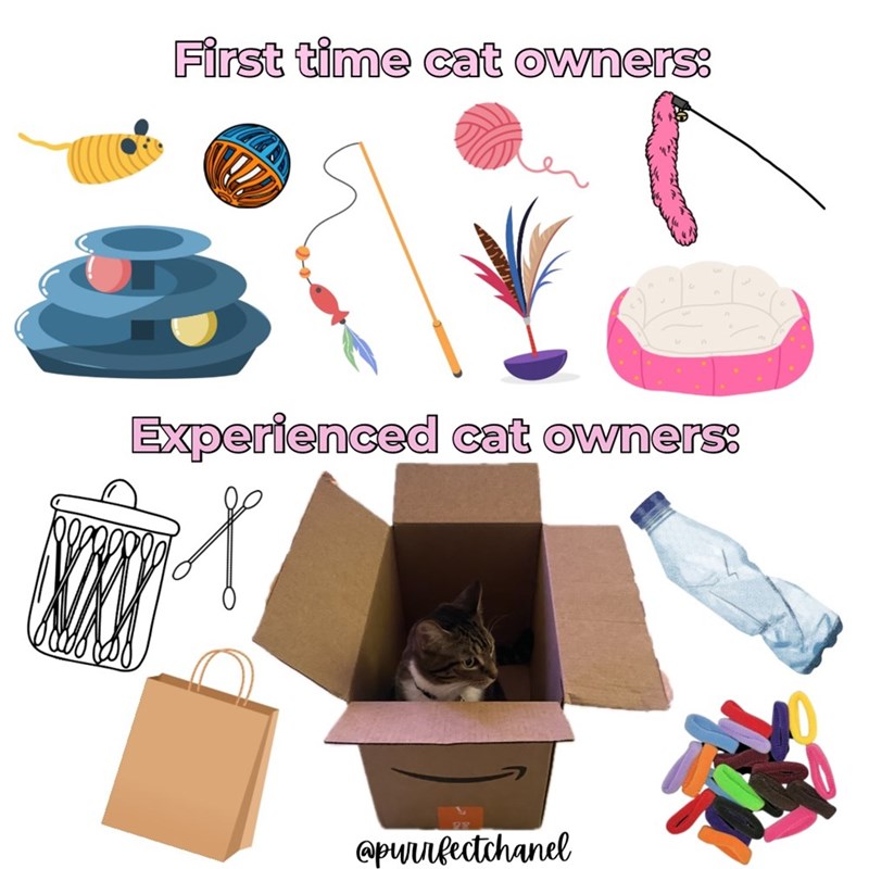 First time cat owners: Experienced cat owners: @purrfectchanel