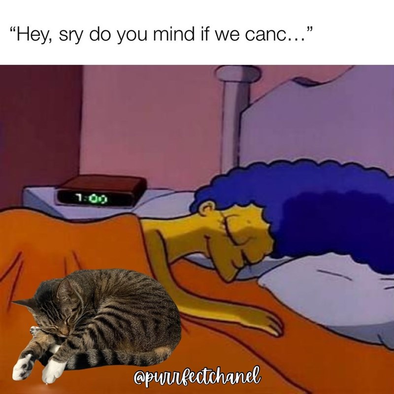 "Hey, sry do you mind if we canc...' " @purrfectchanel
