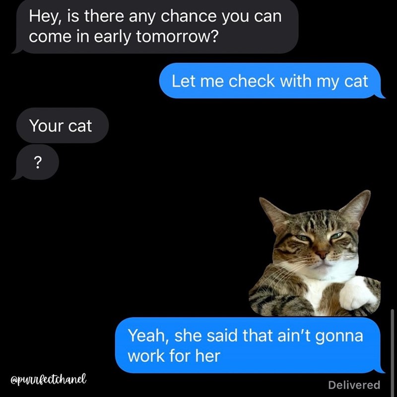 Hey, is there any chance you can come in early tomorrow? Let me check with my cat Your cat ? @purrfectchanel Yeah, she said that ain't gonna work for her Delivered