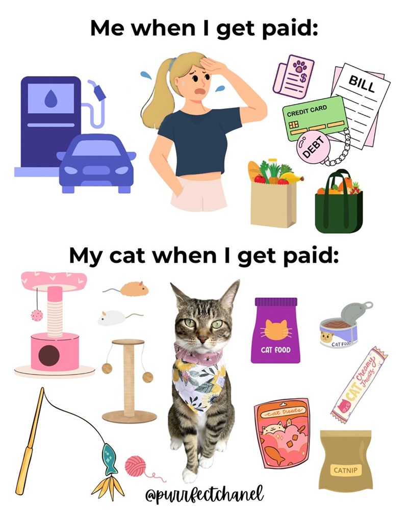 Me when I get paid: BILL CREDIT CARD DEBT My cat when I get paid: ·I CAT FOOD cat treats CAT FOOD @purrfectchanel www M CAT Treats Creamy CATNIP