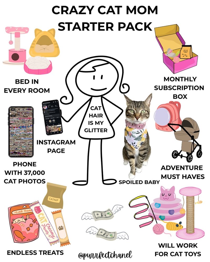 CRAZY CAT MOM STARTER PACK BED IN EVERY ROOM INSTAGRAM PAGE PHONE WITH 37,000 CAT PHOTOS cat treat CATNIP CAT Treats CAT HAIR IS MY GLITTER MONTHLY SUBSCRIPTION BOX SPOILED BABY ENDLESS TREATS @purrfectchanel ADVENTURE MUST HAVES WILL WORK FOR CAT TOYS