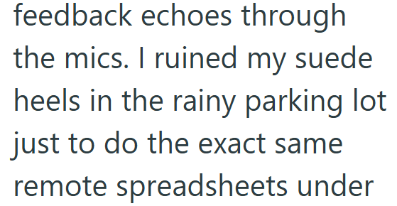 feedback echoes through the mics. I ruined my suede heels in the rainy parking lot just to do the exact same remote spreadsheets under