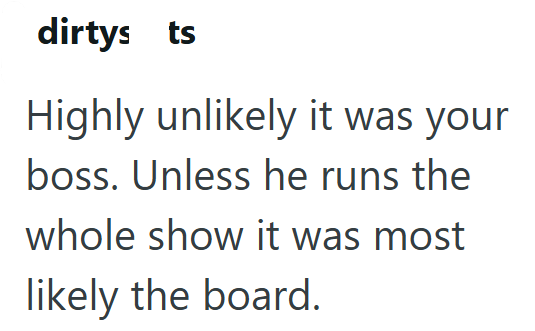dirtys ts Highly unlikely it was your boss. Unless he runs the whole show it was most likely the board.