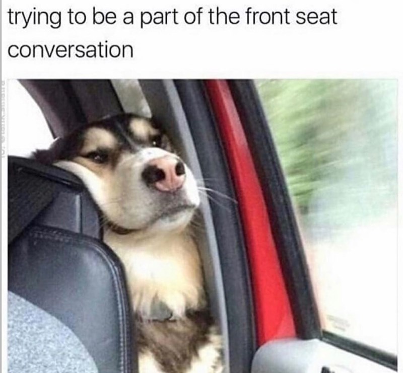 trying to be a part of the front seat conversation