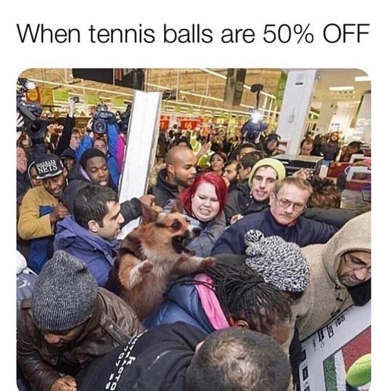 When tennis balls are 50% OFF HMALL NETS GTO 10 ea i