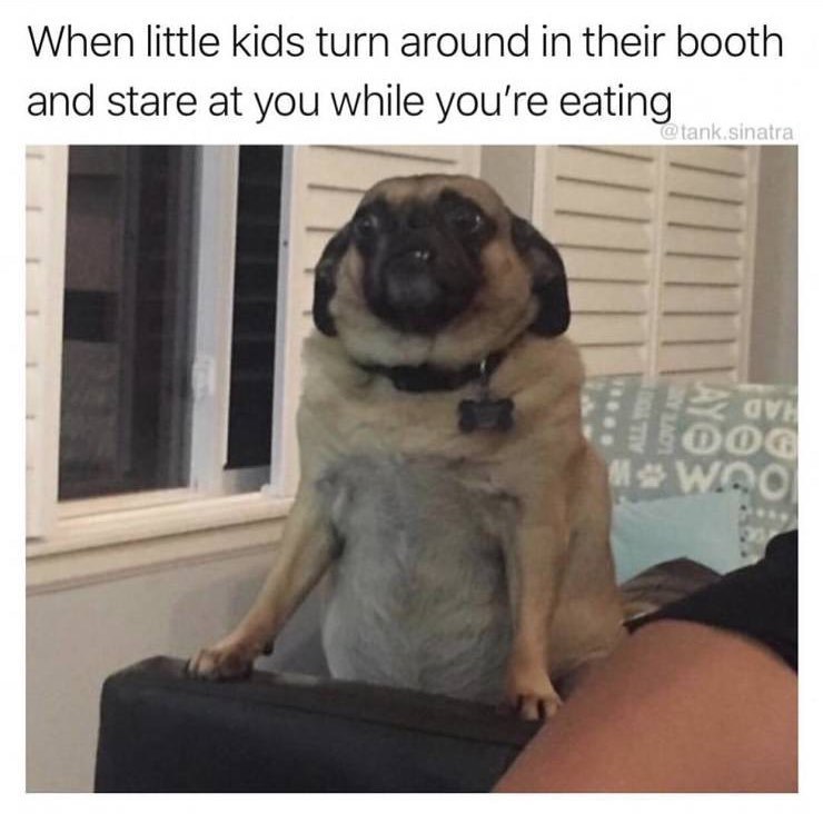 When little kids turn around in their booth and stare at you while you're eating @tank.sinatra GV DOG WOO