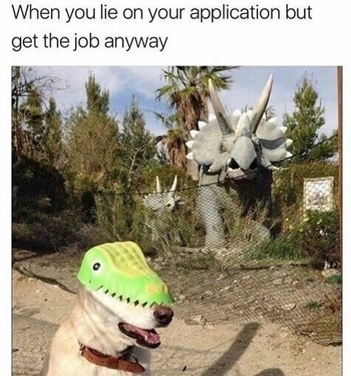When you lie on your application but get the job anyway